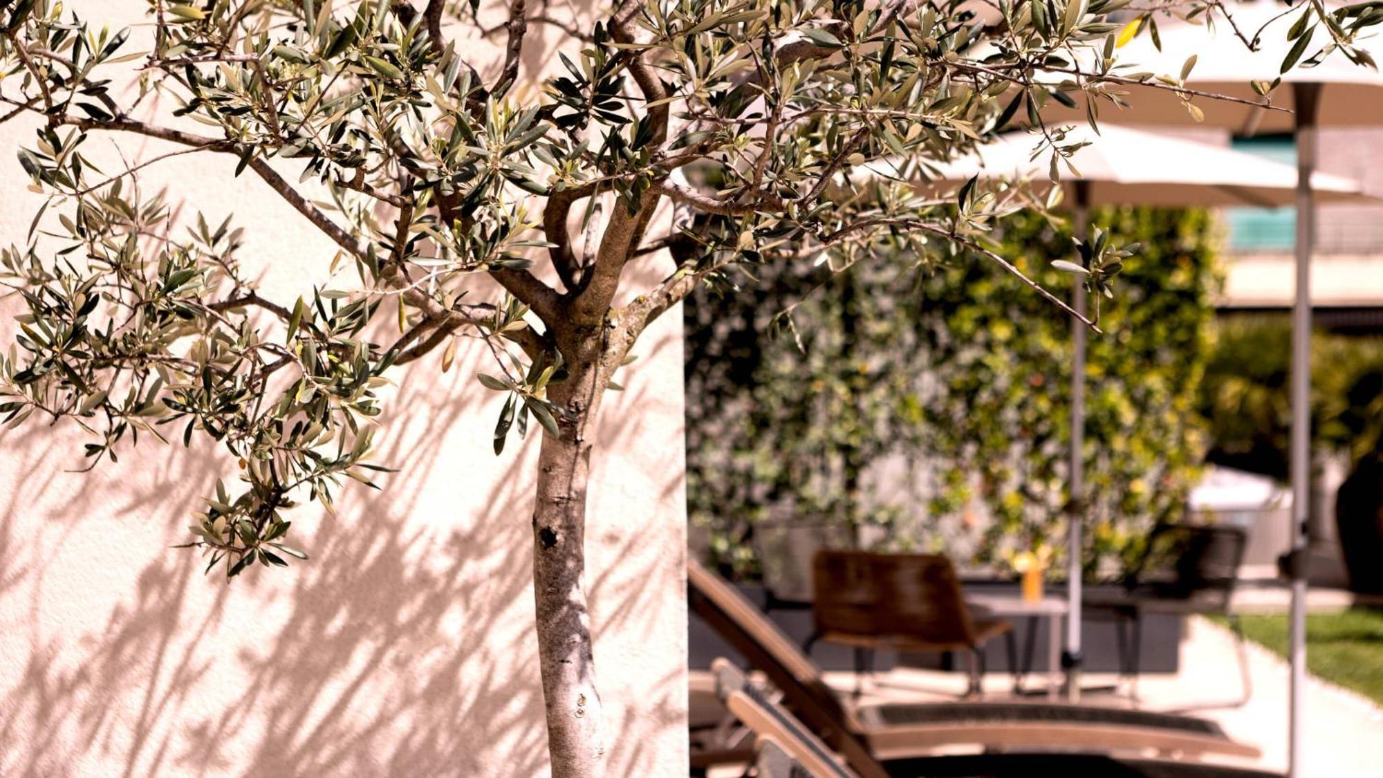 City Hotel Merano Exterior foto
